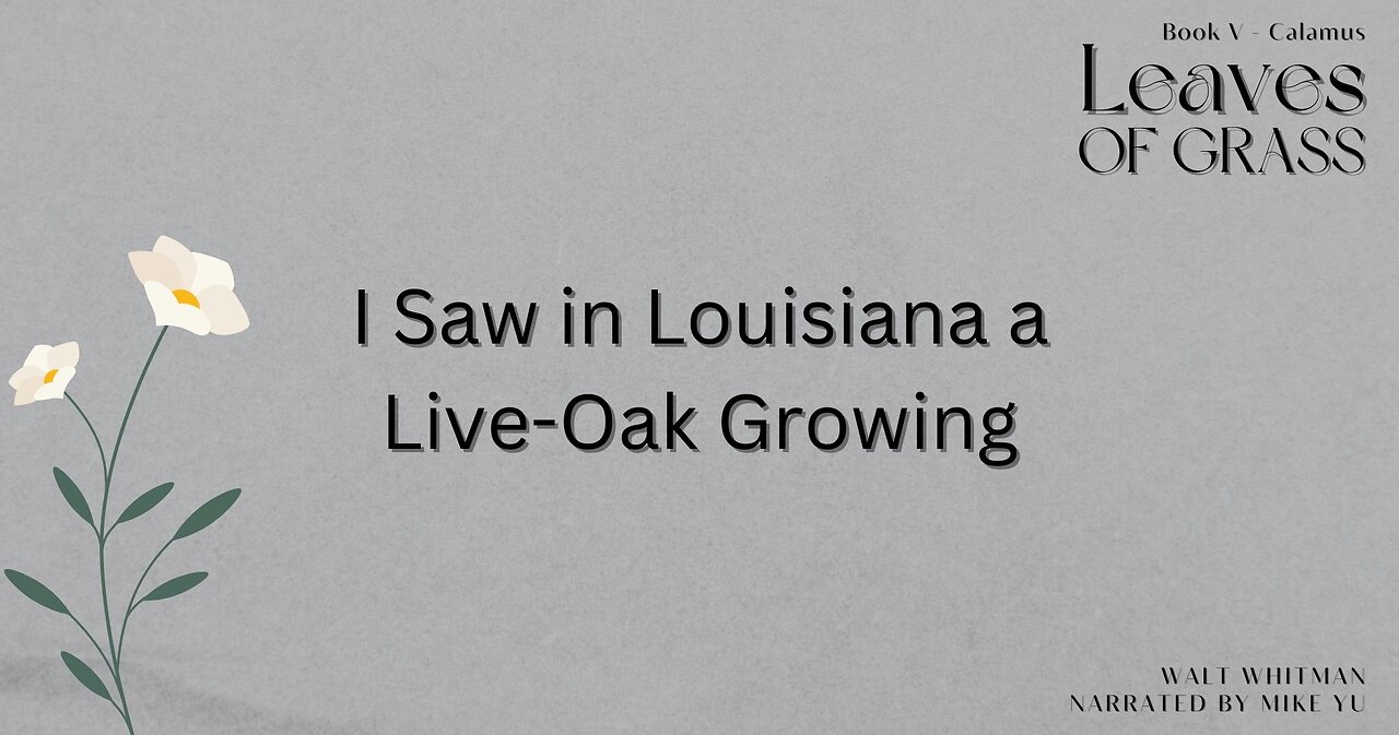 Leaves of Grass - Book 5 - I Saw in Louisiana a Live-Oak Growing - Walt Whitman