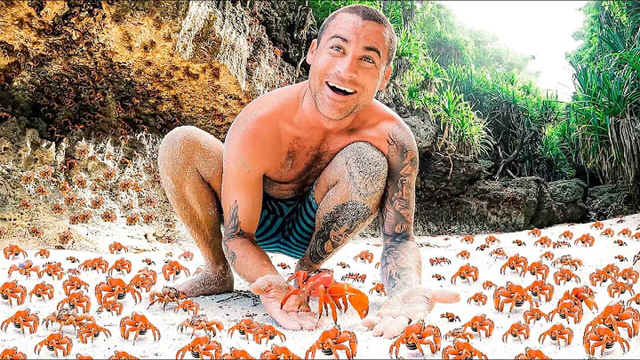 100 Million Red Crabs On A Tropical Island