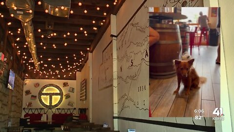 Kansas ordinance prohibits furry patrons at Transport Brewery in Shawnee