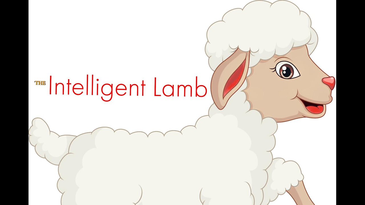 The Intelligent Lamb