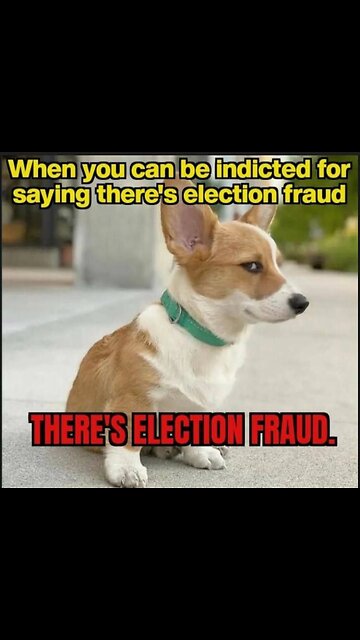 LETS GO BRANDON 😂😂😂