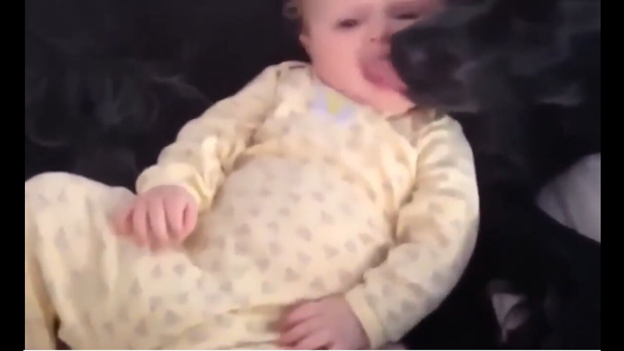 Babies vs Humans ( adorable edition)