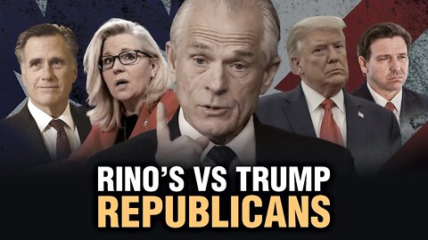 Former Trump Advisor Peter Navarro:Midterm Races Will Be Showdown Between RINO’s & Trump Republicans