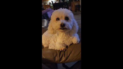 Sammy is watching an emotional girl