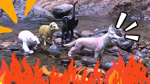 Find Then Clean Animal Elephant, Wolf, Sheep, Polar Bear, Lobster in Real River