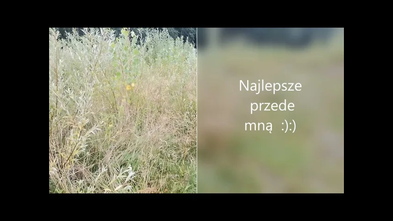 Najlepsze przede mną :):) Anna Budzik