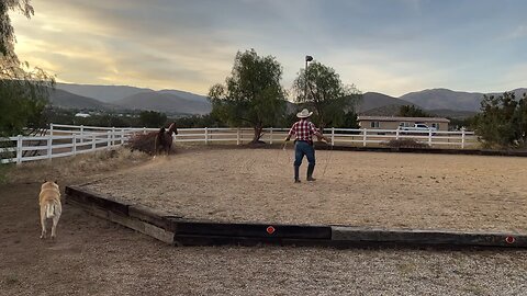 Redhearth Ranch Beasts - Horserobics