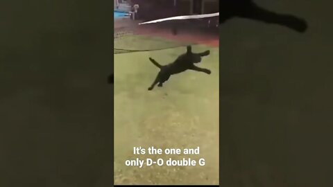 It's the one and only D-O double G #shorts