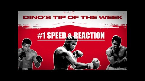 DINO'S BOXING TIPS #1 - SPEED & REACTION