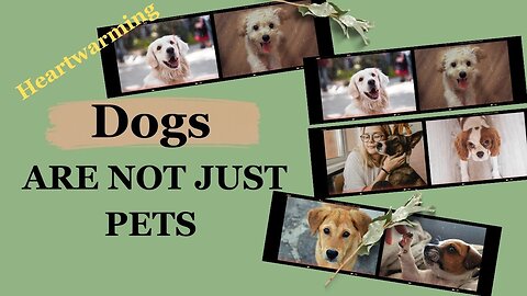 Dogs Are Not Just Pet I Heartwarming Video I Dog Lovers