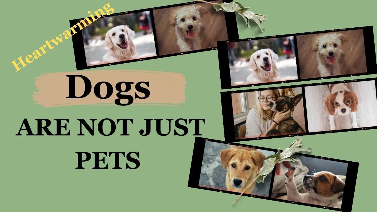 Dogs Are Not Just Pet I Heartwarming Video I Dog Lovers