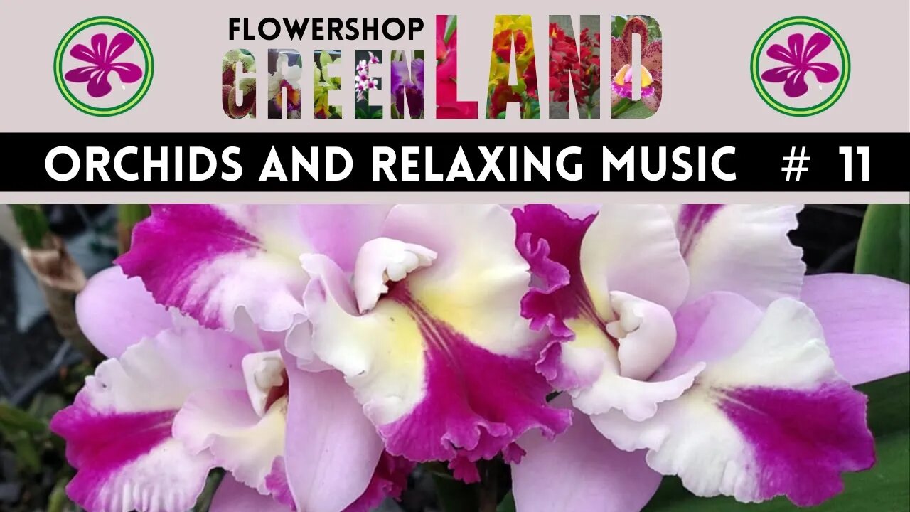 WATTERFALL MUSIC| 100 ORCHIDS TO THE SOUND OF RELAXING MUSIC | # 11