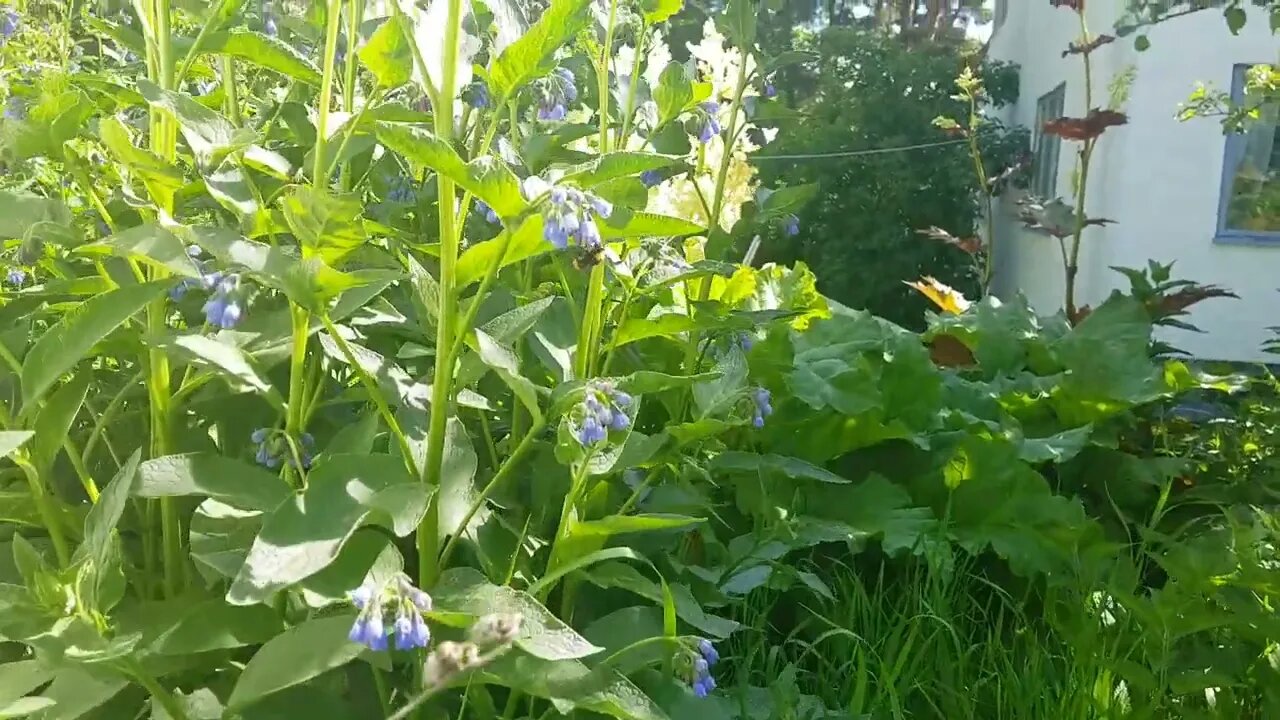 Tranquil summer zenith with four beautiful girls