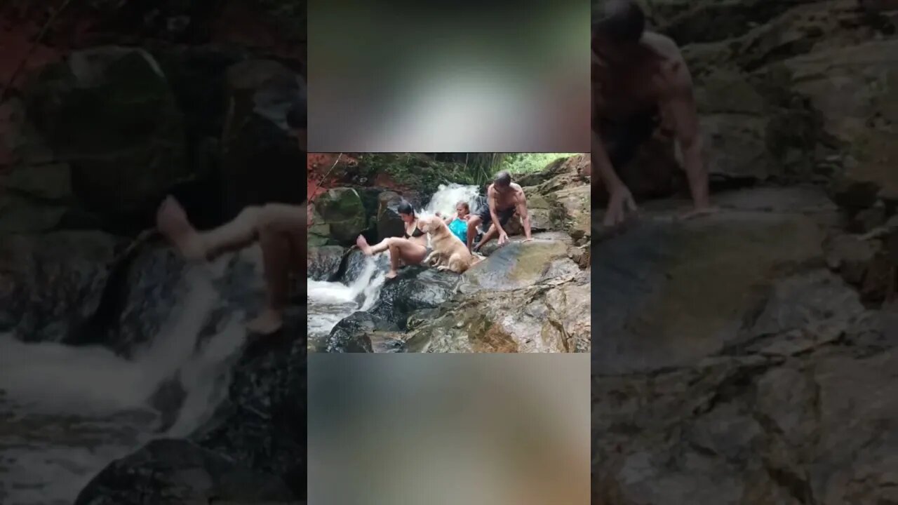 🛑 Você teria medo?🤯