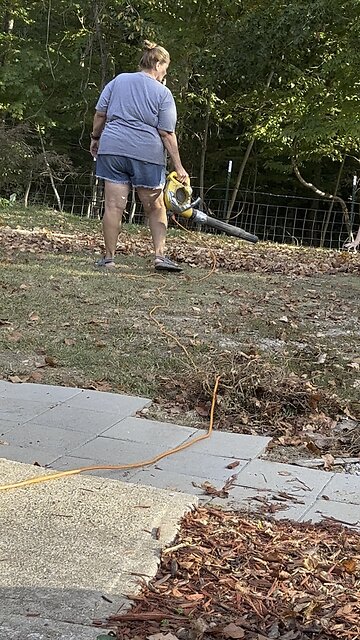 Time to Play in the Leaves 🍃 #falltime #leaves #farm #homestead