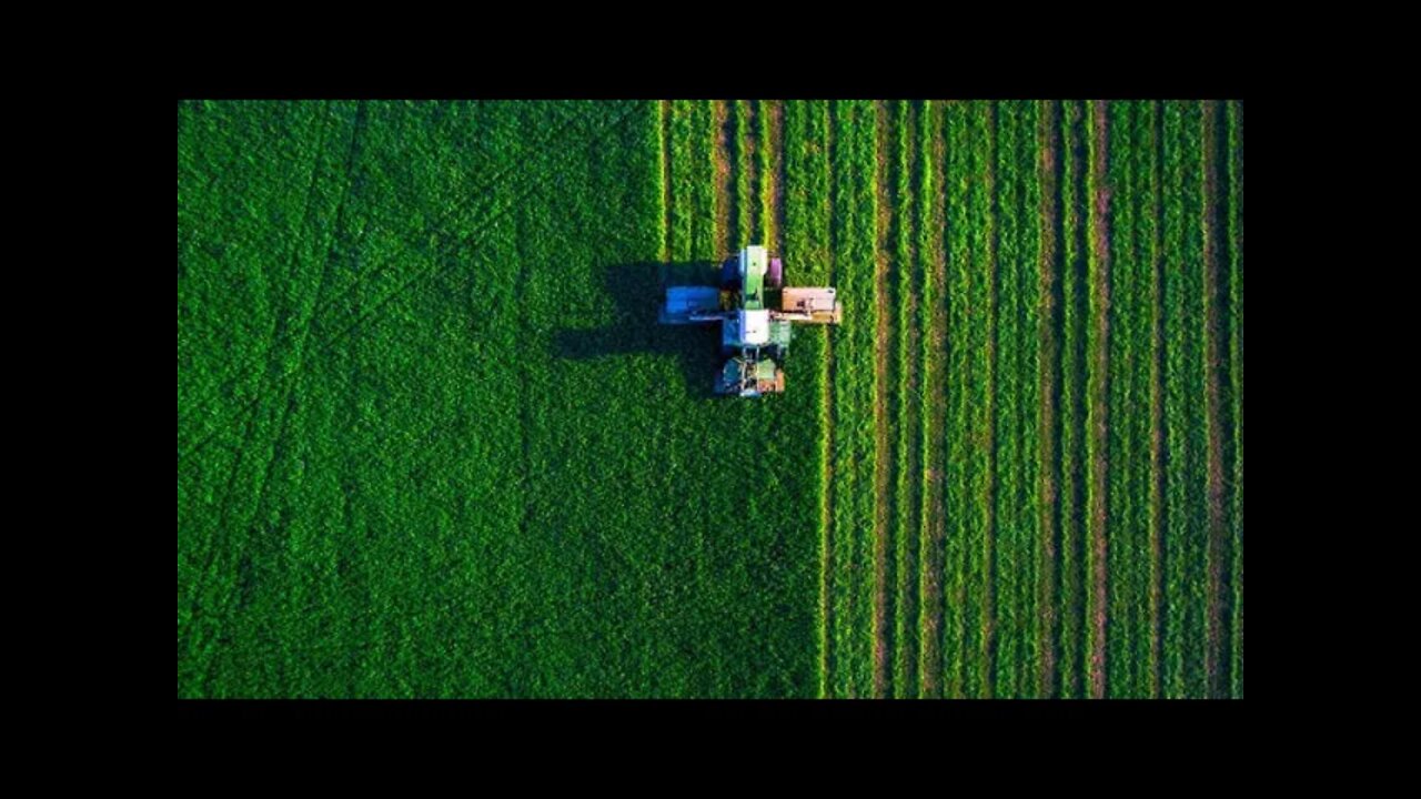 Food Crisis, Energy Crisis, Entering Worldwide Famine