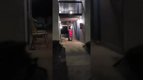 [2022-07-22] Cheating in a Mauldin, SC (Greenville) ghetto - poor dog. [RZG8iASQ4QM]