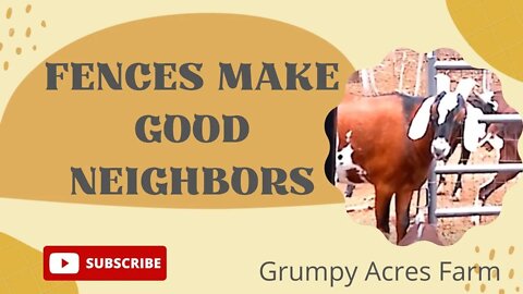 Fencing makes good neighbors; especially with goats and sheep