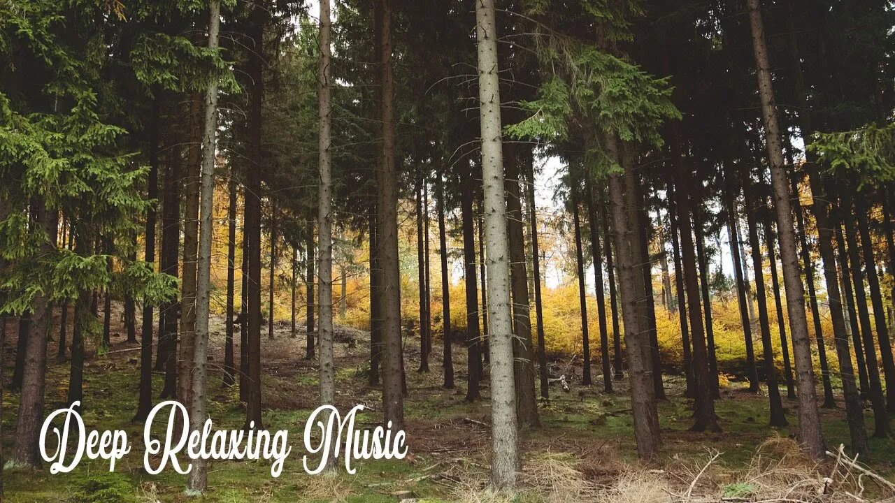 Relaxing Piano Music, Relaxing Music, Soothing Instrumental Music, Deep Focus ⚧ Calming Music