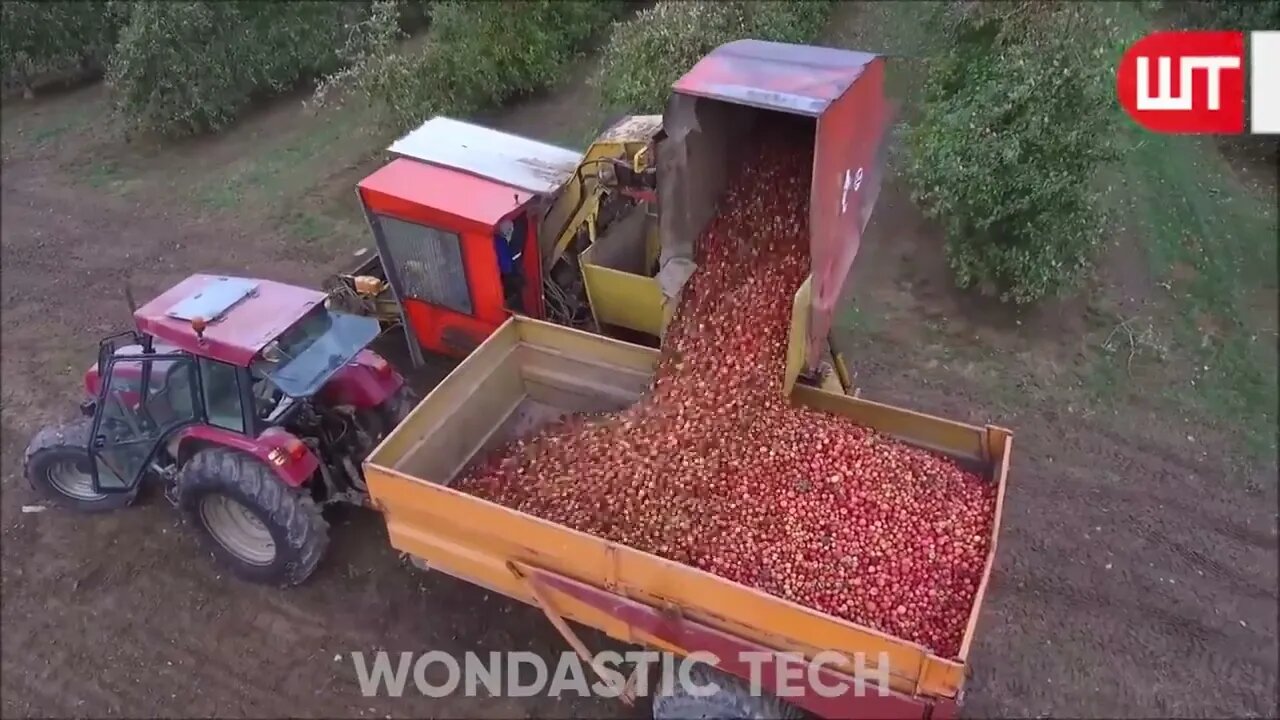 How Apple Juice Is Made In Factory