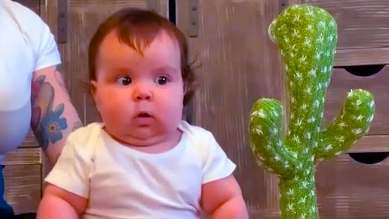 Funniest Baby Doing Cute Thing Will Make Melting Your Heart |Baby Video