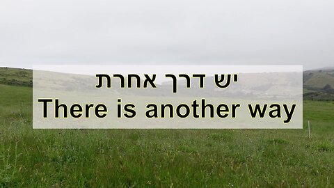 יש דרך אחרת - חוות מרקגרד בקליפורניה