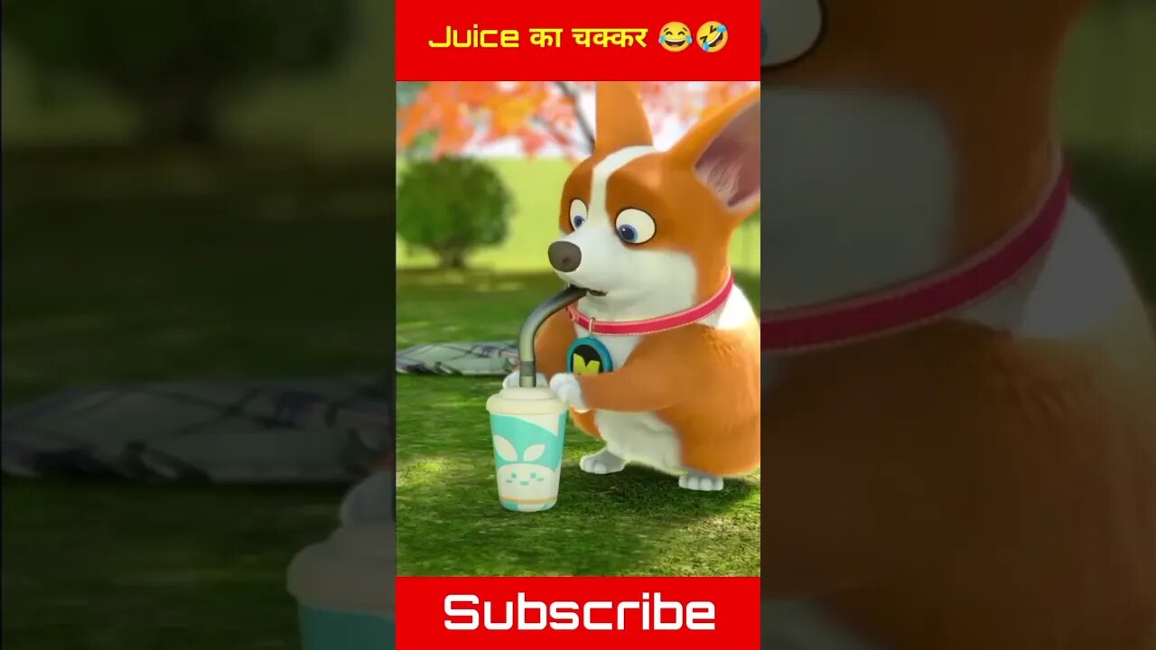 Juice का चक्कर 😂🤣 Moco Dog Funny Shorts Video #youtubeshorts kvideo