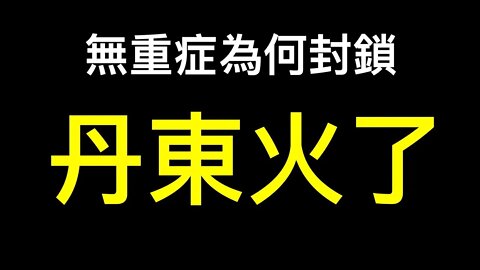 評論一面倒！帶老父看病因黃碼與警察爆發衝突,丹東大爺怒批政府……
