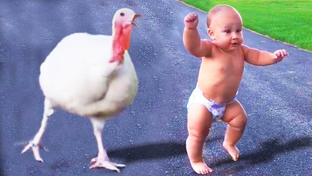 Funniest Babies's Situation Will Make You Laugh Hard