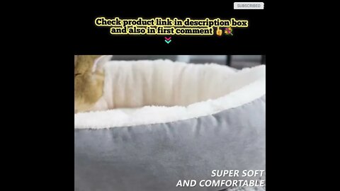 Cute cat videos 😻 Cat products videos 😻 868 😺