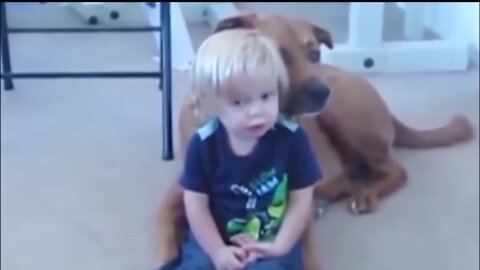 Funny dog with babies video amazing animals