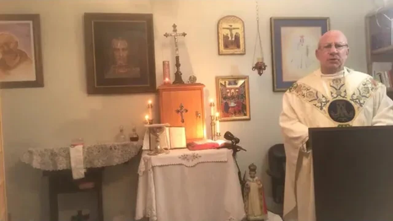 The Sunday Mass with Fr. Stephen Imbarrato - June 19th, 2022