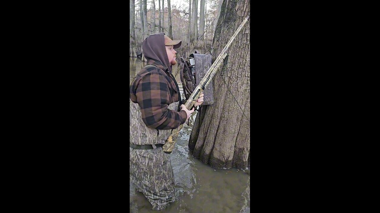 "DON'T MOVE" - Duck Hunting in Arkansas