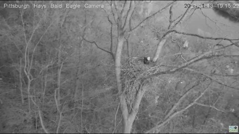 Hays Eagles Mom fly by loop 2021 01 15 819AM