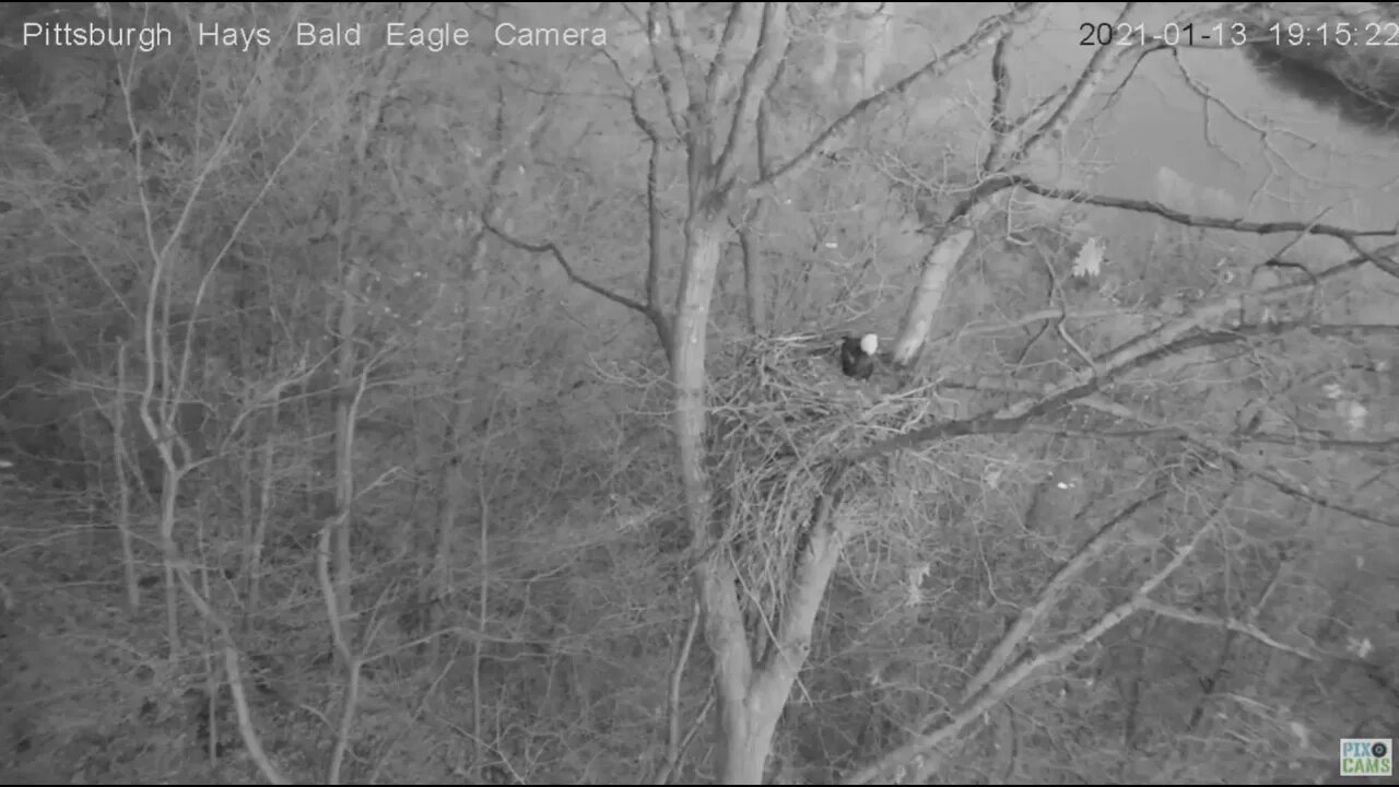 Hays Eagles Mom fly by loop 2021 01 15 819AM