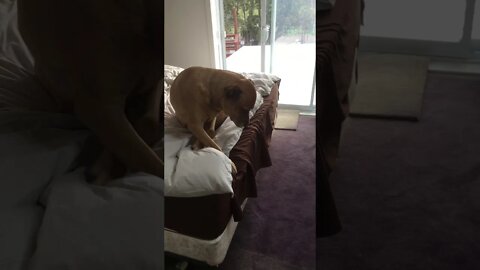 Dug... Part 2 of 4