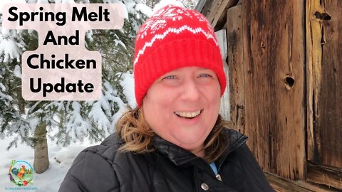 Spring Melt and March Chicken Update | Chicken Coop Tips