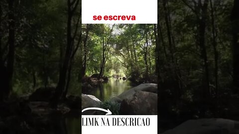 videos shorts do kawai#shorts