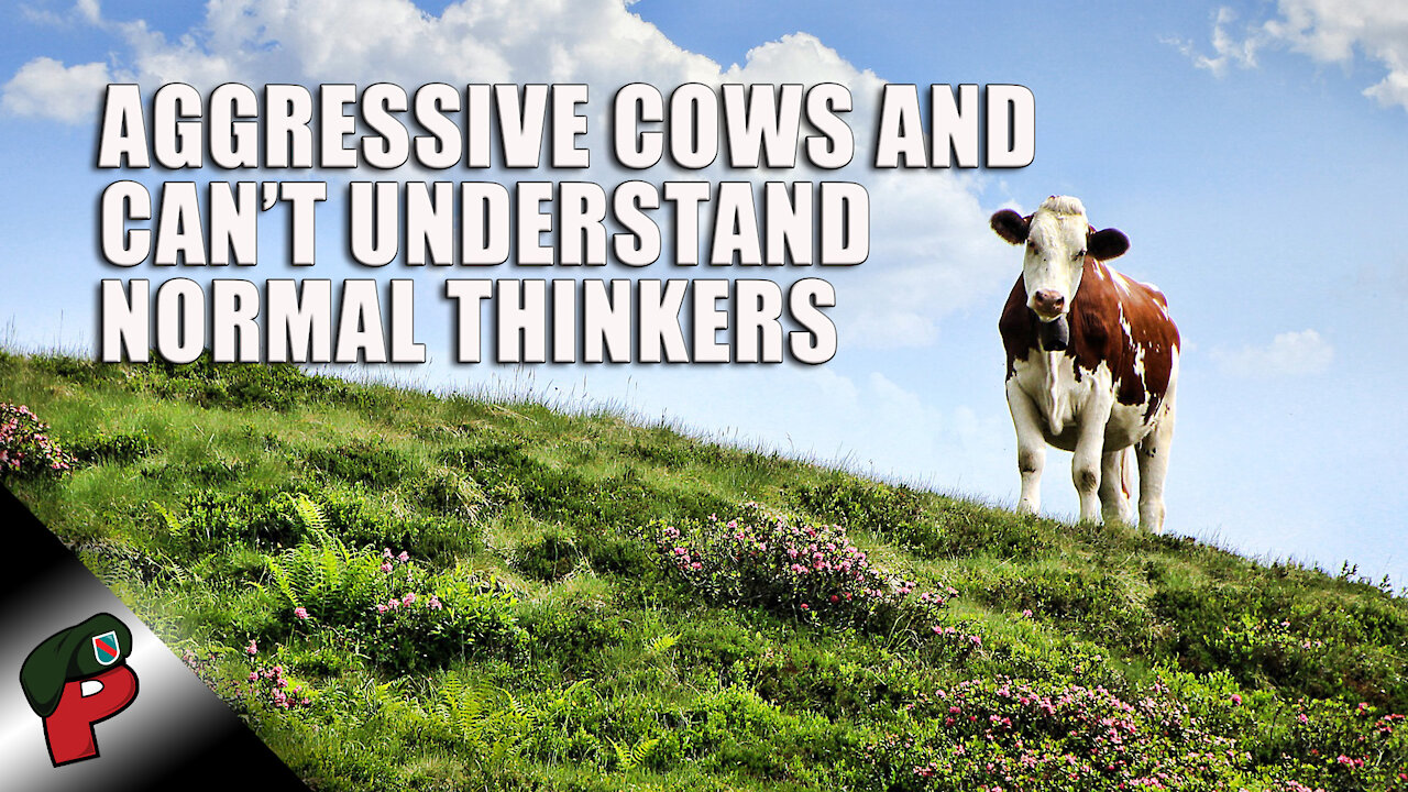 Aggressive Cows And Can’t Understand Normal Thinkers | Grunt Speak Highlights