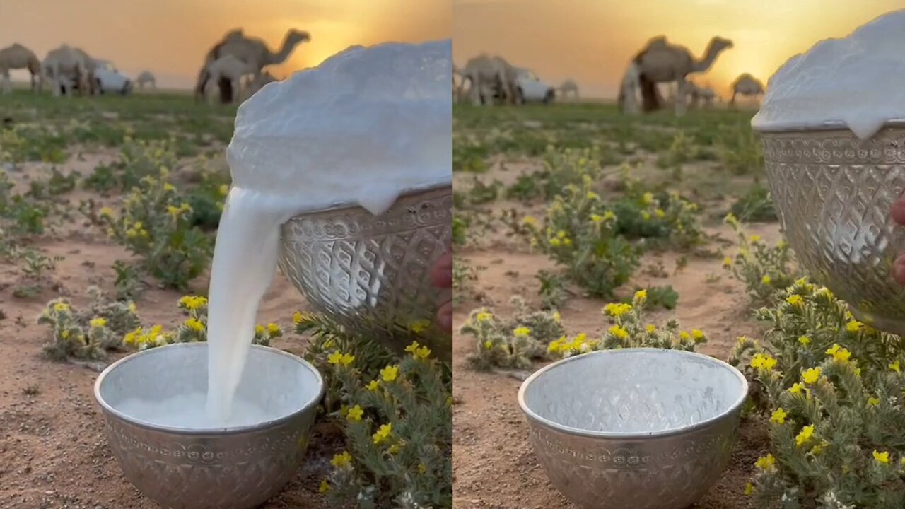 camel milk