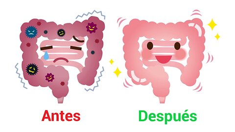 ¡Todos necesitamos una profunda limpieza intestinal!