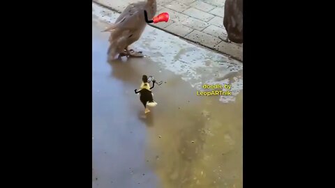 Little THOR😅 || #shorts #Funny animals