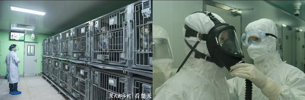9-22-21 Confirmed: Wuhan Scientists Planned to Release Coronaviruses Into Bat Caves