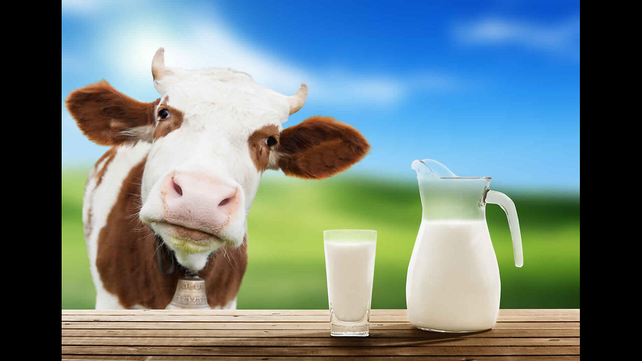 MILK PRODUCED IN AMERICA🐄🧬🔬👩‍🔬🧪💉🐄🥛🚫🌐BANNED IN COUNTRIES⛔️🌐💫