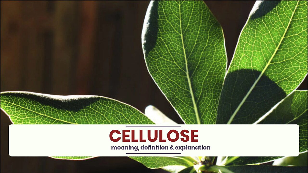 What is CELLULOSE?