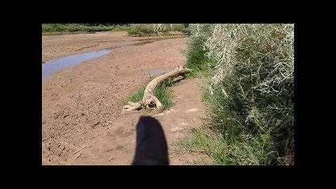 Where is the Rio Grande River? Where Is Our Water? I return 1-2 Weeks Later And Find This!
