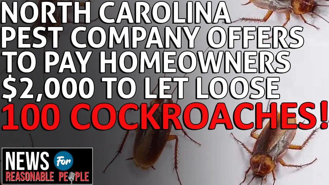 North Carolina Pest Company Will Pay You $2,000 to Let 100 Cockroaches Loose in Your Home