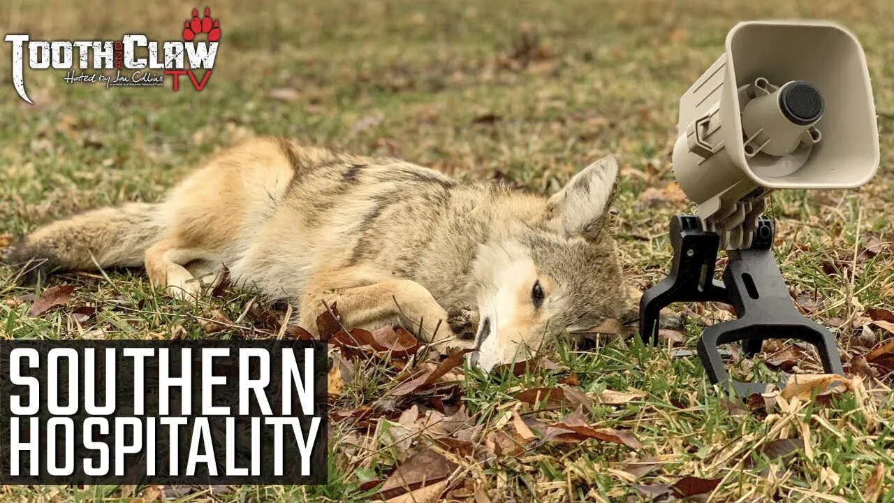 Southern Hospitality - Coyote Hunting