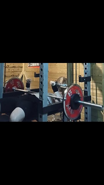 AAARGH! Last Set of 3x12 75 Kgs Paused Close-Grip Bench Press