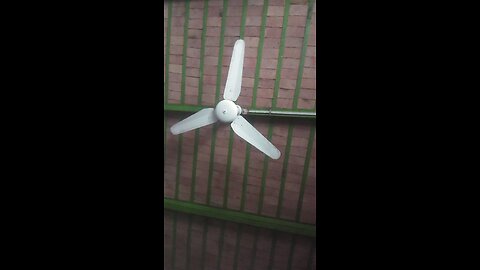 fan